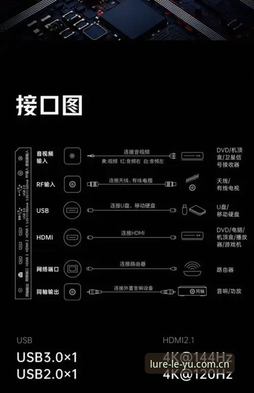乐鱼登录通道功能详解：从新手到老鸟的实战操作教程
